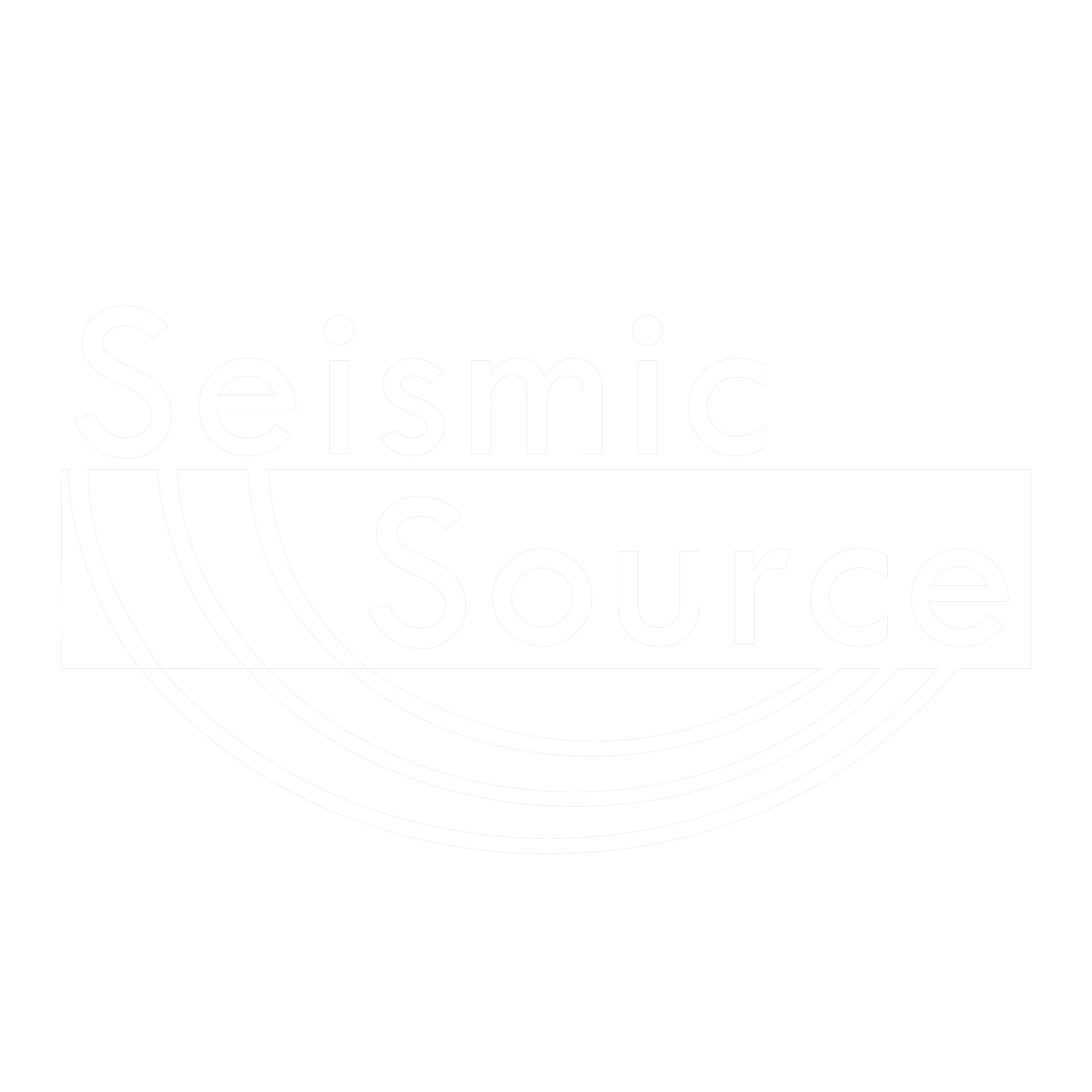 Seismic Source